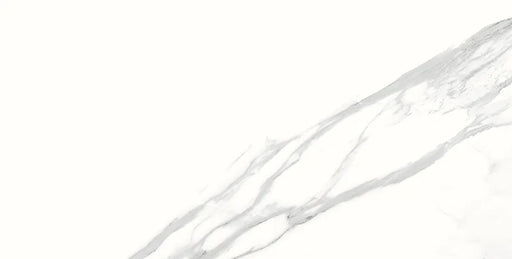 Spider 12x24 Polished Porcelain Tile