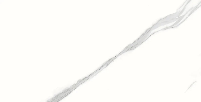 Spider 12x24 Polished Porcelain Tile