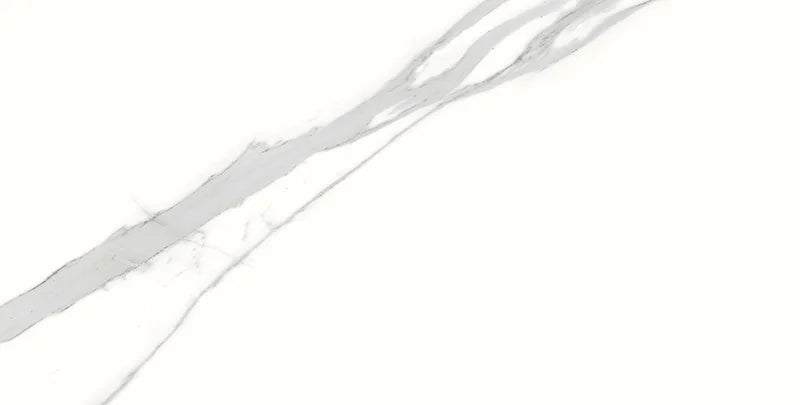 Spider 12x24 Polished Porcelain Tile