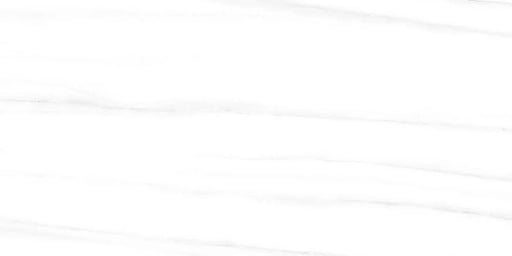 Splendor White Dolomite 12x24 Polished Porcelain Tile