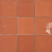 St. Tropez Coral 2.5x5 Ceramic Wall Tile
