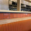 St. Tropez Coral 2.5x5 Bullnose Ceramic Wall Tile