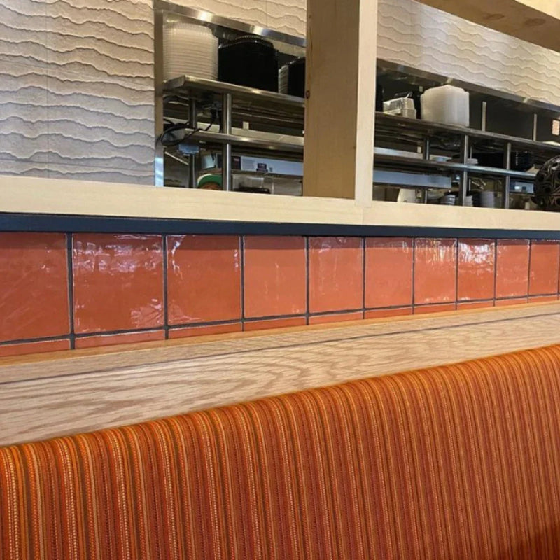 St. Tropez Coral 2.5x5 Bullnose Ceramic Wall Tile