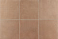 Stage Terracotta 2.5x12 Natural Porcelain Tile