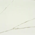 Statuario 48x96 Polished Porcelain Slab