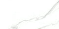 Statuario Bianco 12x24 Polished Porcelain Tile