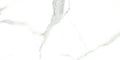 Statuario Bianco 12x24 Polished Porcelain Tile
