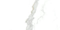 Statuario Bianco 12x24 Polished Porcelain Tile