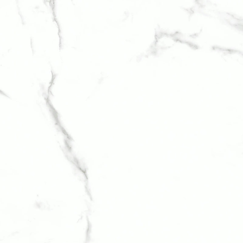 Statuario Bianco 24x24 Natural Porcelain Tile
