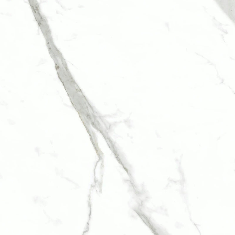 Statuario Bianco 24x24 Natural Porcelain Tile