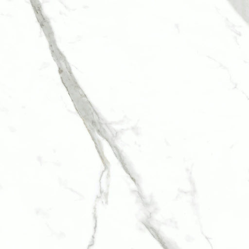 Statuario Bianco 24x24 Natural Porcelain Tile