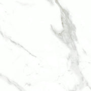 Statuario Bianco 24x24 Natural Porcelain Tile