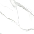 Statuario Bianco 24x24 Polished Porcelain Tile