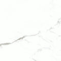 Statuario Bianco 24x24 Polished Porcelain Tile