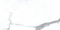 Statuario Bianco 24x48 Polished Porcelain Tile