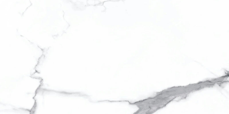 Statuario Bianco 24x48 Polished Porcelain Tile