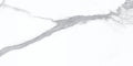 Statuario Bianco 24x48 Polished Porcelain Tile