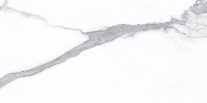 Statuario Bianco 24x48 Polished Porcelain Tile