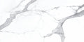 Statuario Bianco 24x48 Polished Porcelain Tile