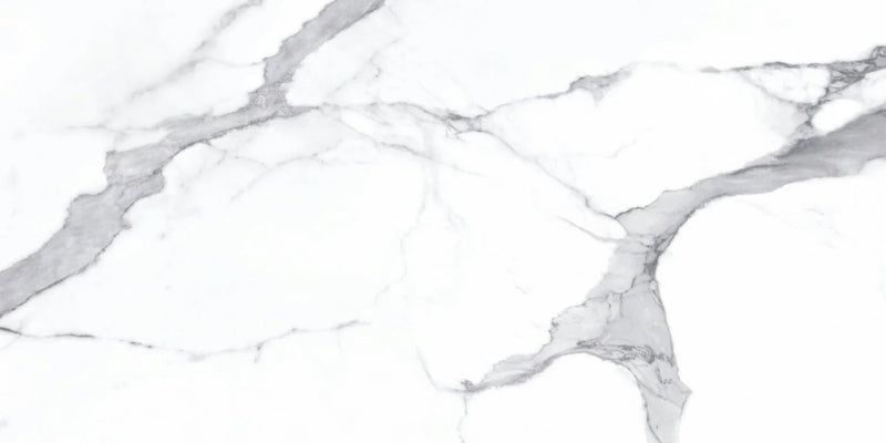 Statuario Bianco 24x48 Polished Porcelain Tile