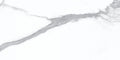 Statuario Bianco 24x48 Polished Porcelain Tile