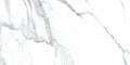 Statuario Bianco 24x48 Polished Porcelain Tile