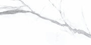 Statuario Bianco 24x48 Polished Porcelain Tile