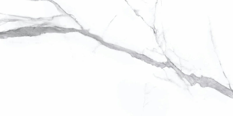 Statuario Bianco 24x48 Polished Porcelain Tile