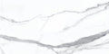 Statuario Bianco 24x48 Natural Porcelain Tile