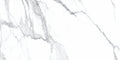 Statuario Bianco 24x48 Natural Porcelain Tile
