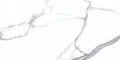 Statuario Bianco 24x48 Natural Porcelain Tile