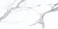 Statuario Bianco 24x48 Natural Porcelain Tile