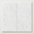 Statuary White (Italian) Marble 18x36 Honed Tile close-up