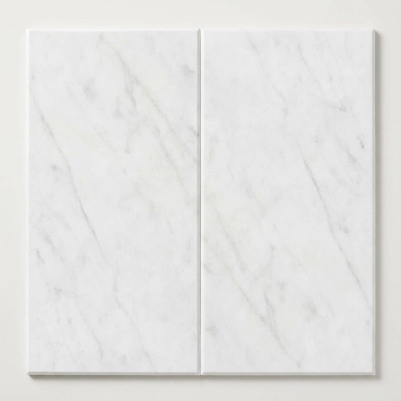 Statuary White (Italian) Marble 18x36 Honed Tile close-up