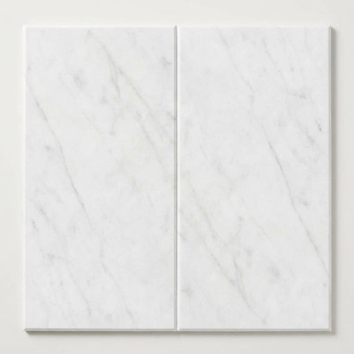 Statuary White (Italian) Marble 18x36 Honed Tile close-up