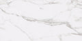 Statuary 12x24 Polished Rectified Porcelain Tile
