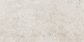 Stone Basel Caliza 24x48 Glazed Porcelain Tile