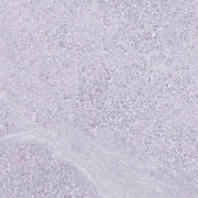 Stoneline Light Gray Deco 12x24 Porcelain Tile