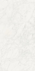 Stontech Stone.01 24x48 Matte Stone Look Porcelain Tile
