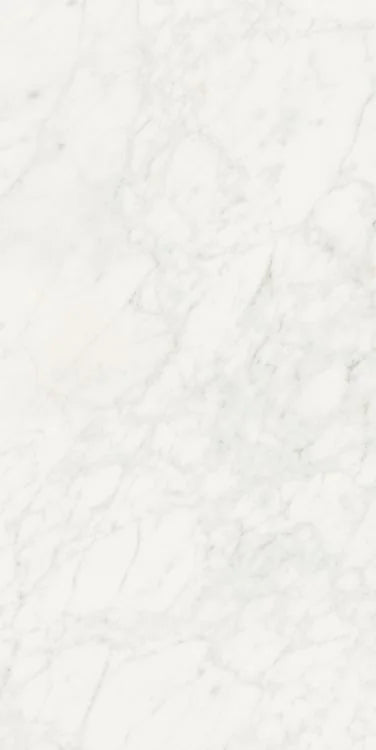 Stontech Stone.01 24x48 Matte Stone Look Porcelain Tile