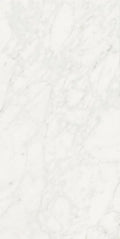 Stontech Stone.01 24x48 Matte Stone Look Porcelain Tile