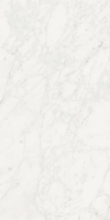 Stontech Stone.01 24x48 Matte Stone Look Porcelain Tile