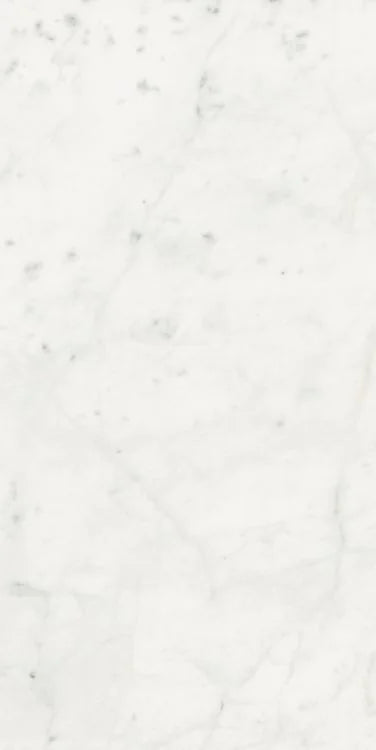Stontech Stone.01 24x48 Matte Stone Look Porcelain Tile