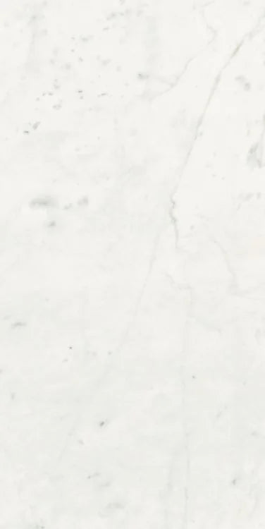 Stontech Stone.01 24x48 Matte Stone Look Porcelain Tile