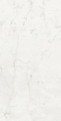 Stontech Stone.01 24x48 Matte Stone Look Porcelain Tile
