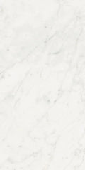 Stontech Stone.01 24x48 Matte Stone Look Porcelain Tile