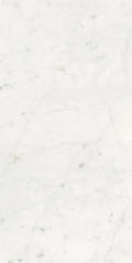 Stontech Stone.01 24x48 Matte Stone Look Porcelain Tile