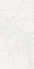 Stontech Stone.01 24x48 Matte Stone Look Porcelain Tile