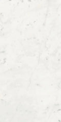 Stontech Stone.01 24x48 Matte Stone Look Porcelain Tile