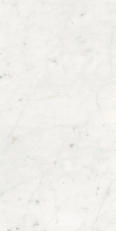 Stontech Stone.01 24x48 Glossy Stone Look Porcelain Tile
